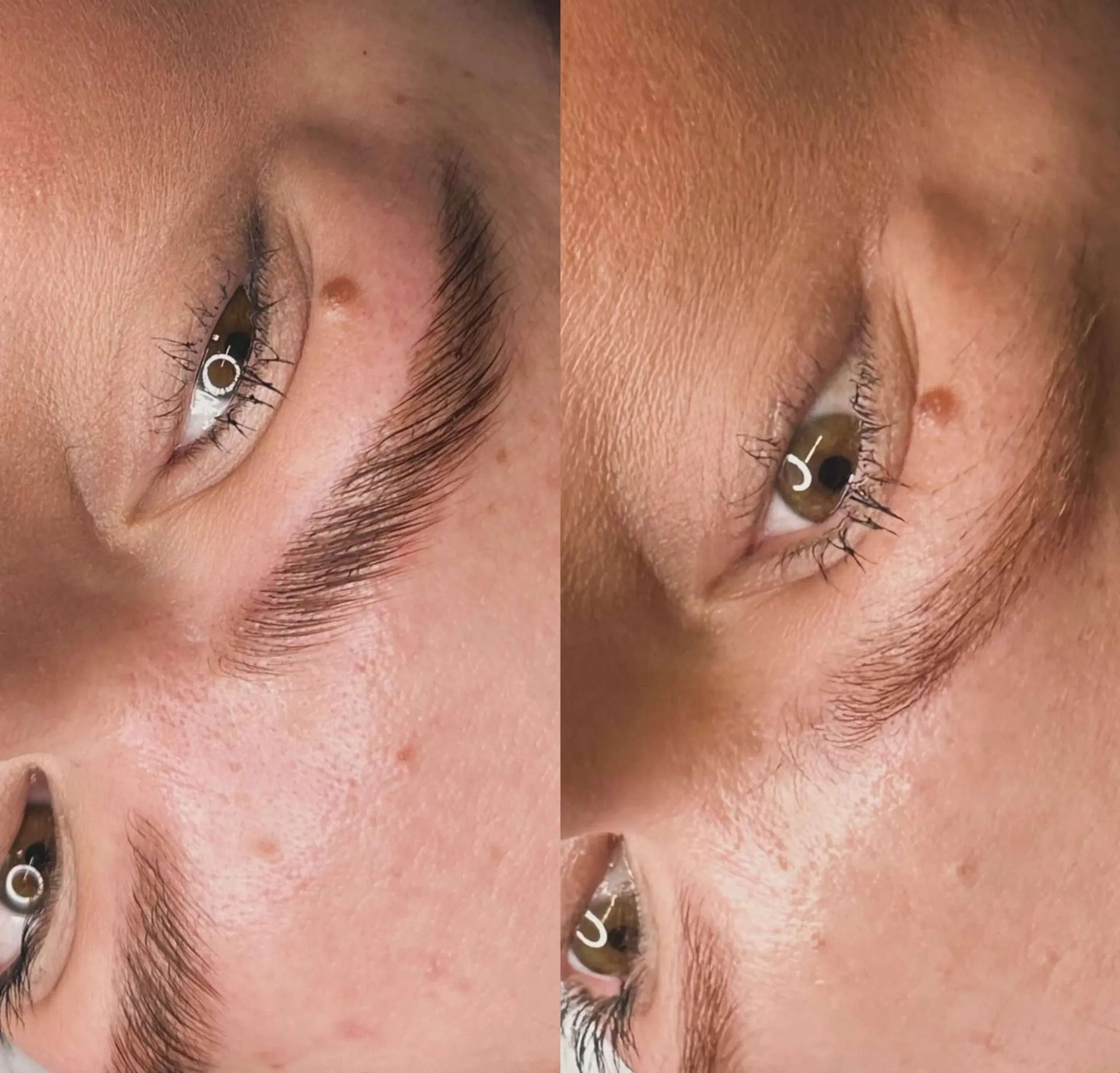 powder brows touch-up