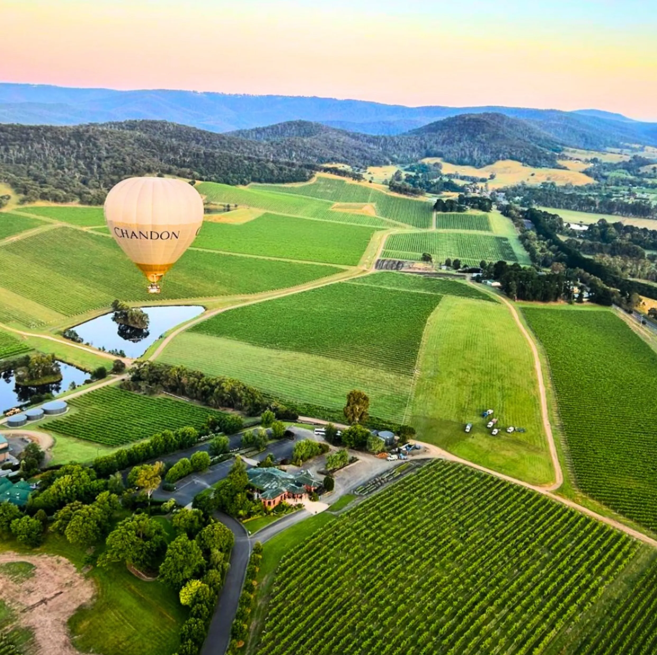 hot air balloon Yarra Valley sunrise